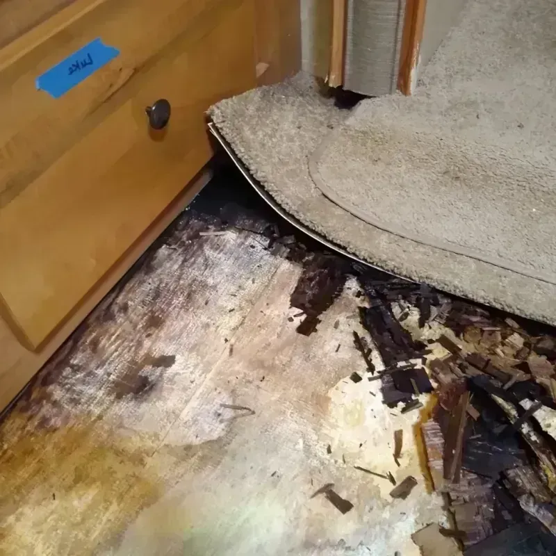 Best Wood Floor Water Damage Service in Westminster, MD